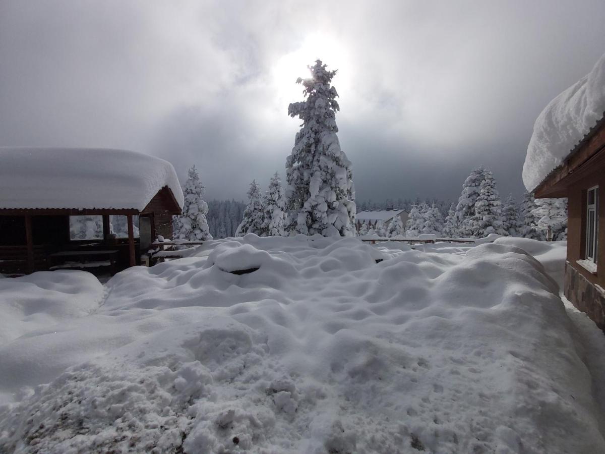 Elifim Resort Hotel Bolu Kültér fotó