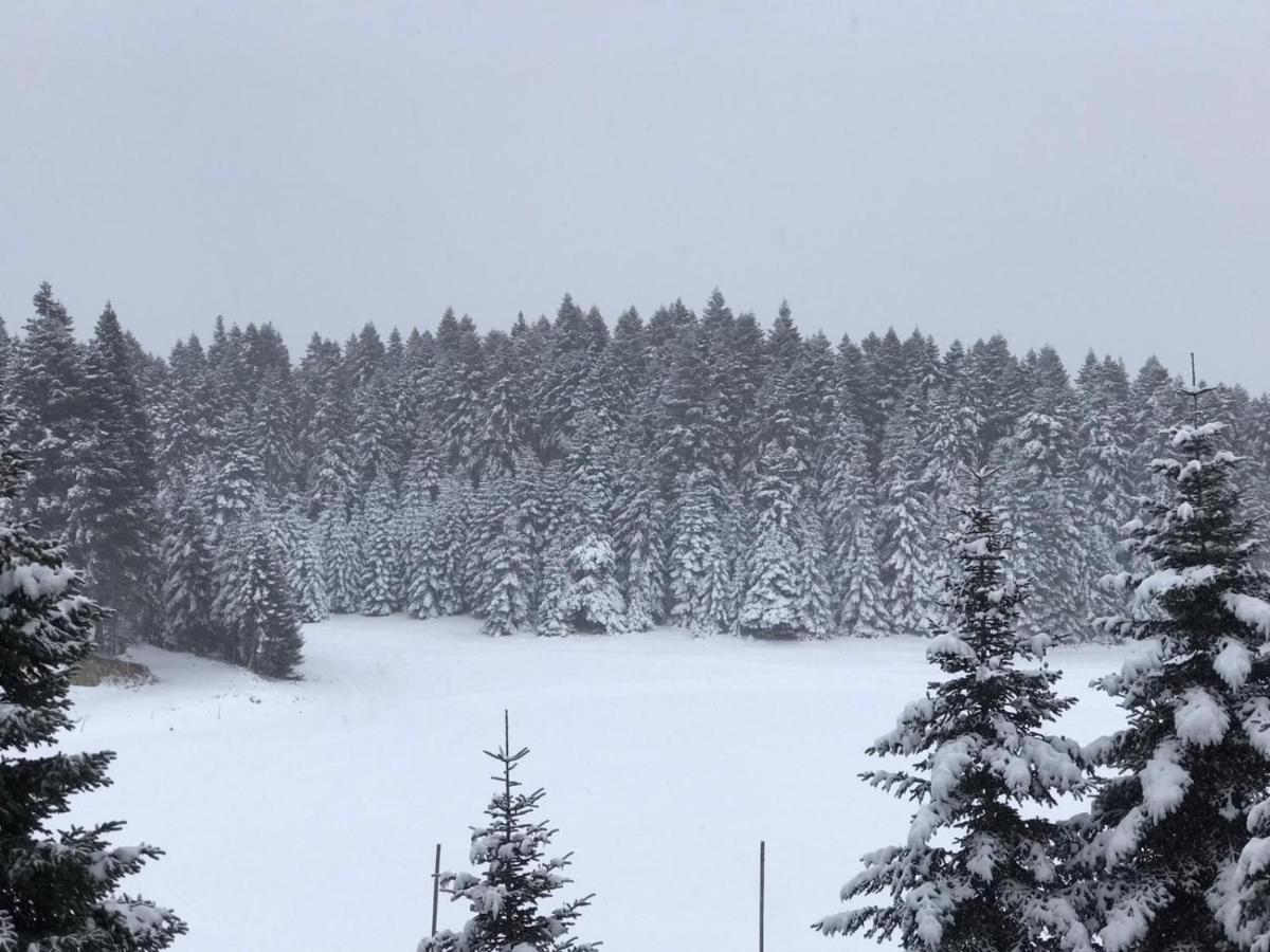 Elifim Resort Hotel Bolu Kültér fotó