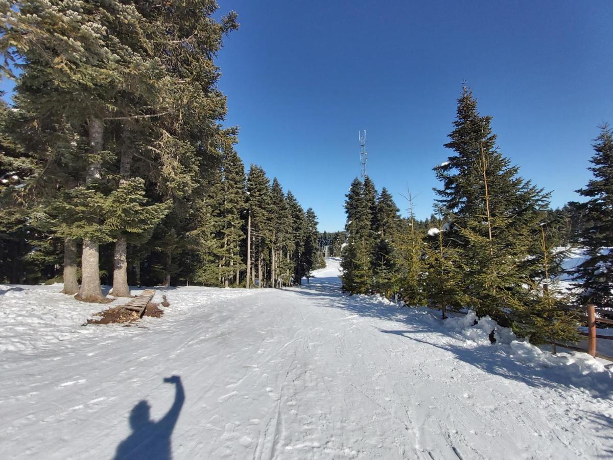 Elifim Resort Hotel Bolu Kültér fotó