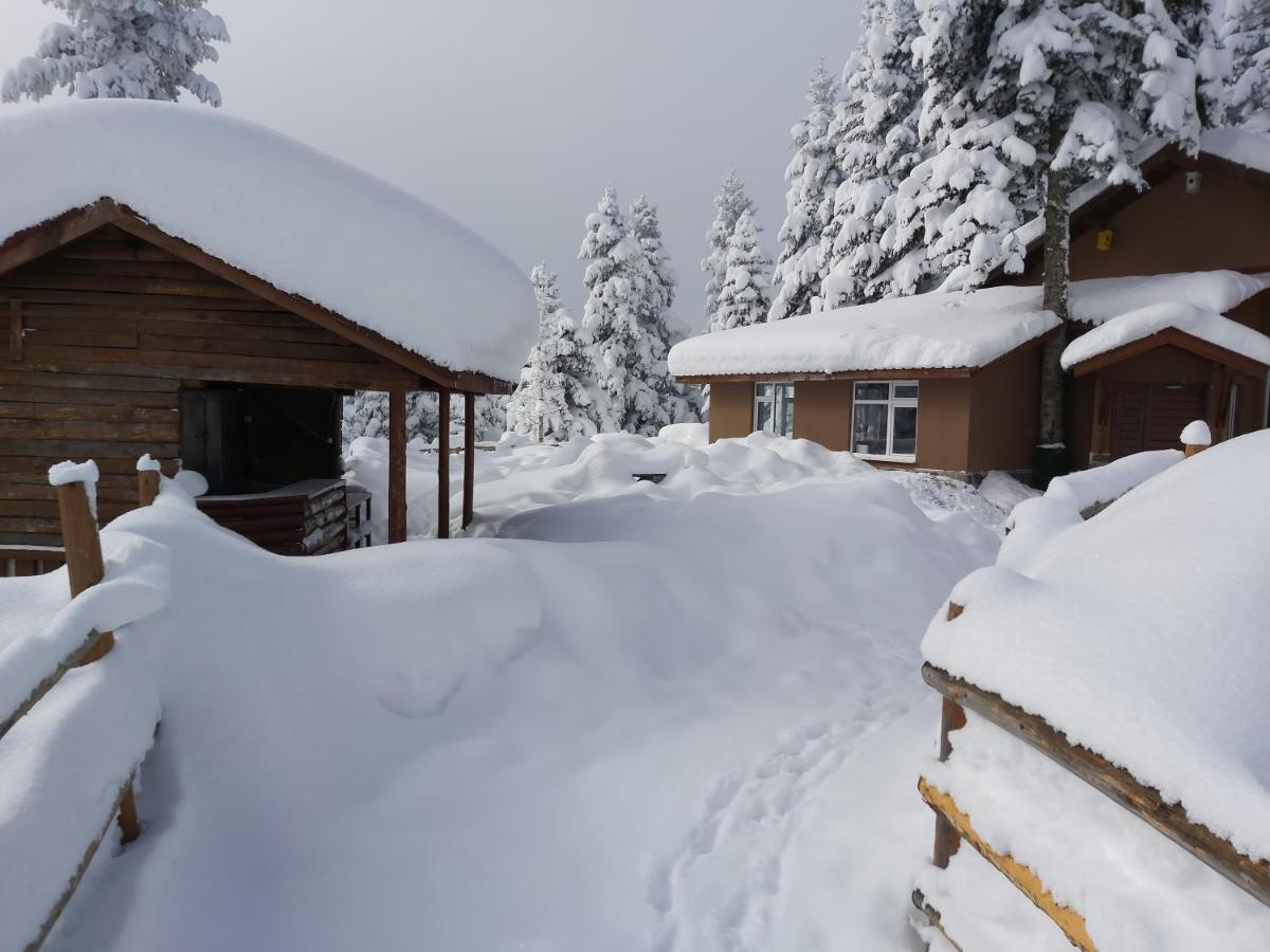 Elifim Resort Hotel Bolu Kültér fotó