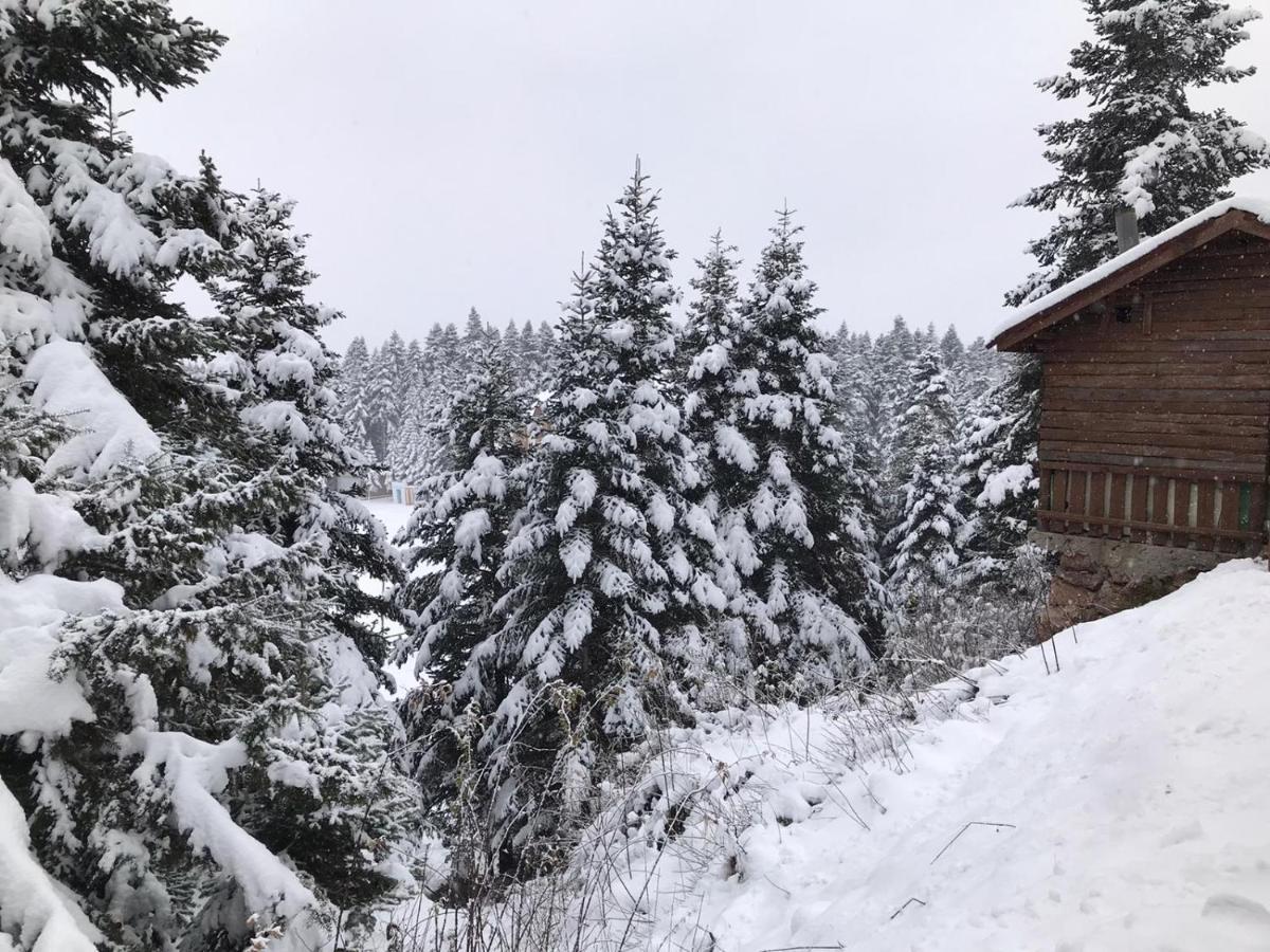 Elifim Resort Hotel Bolu Kültér fotó